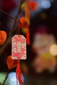 bầu cua di động MB66